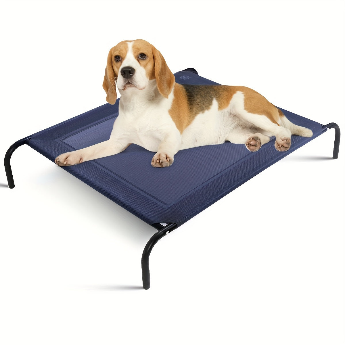 Erhöhtes Haustierbett für große Hunde